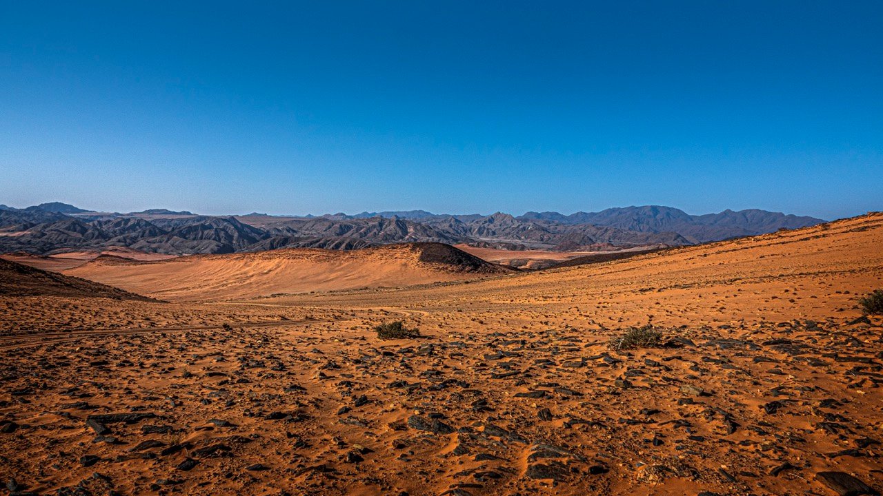 Expedición África 87
