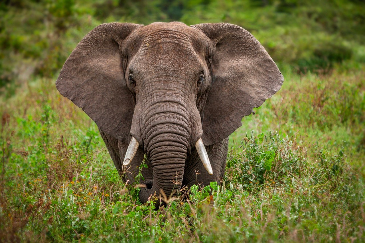Entorno Tanzania 10