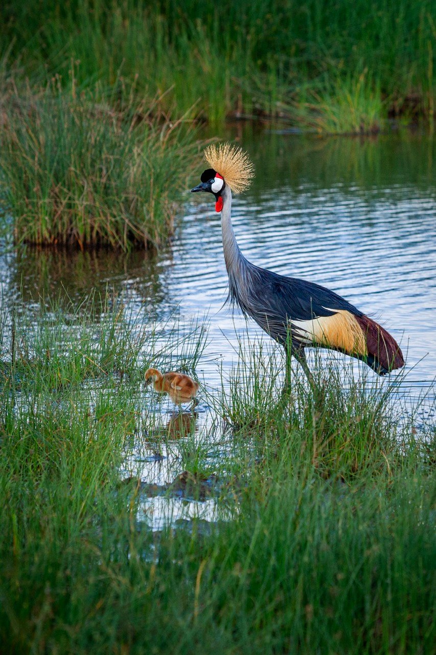Entorno Tanzania 5