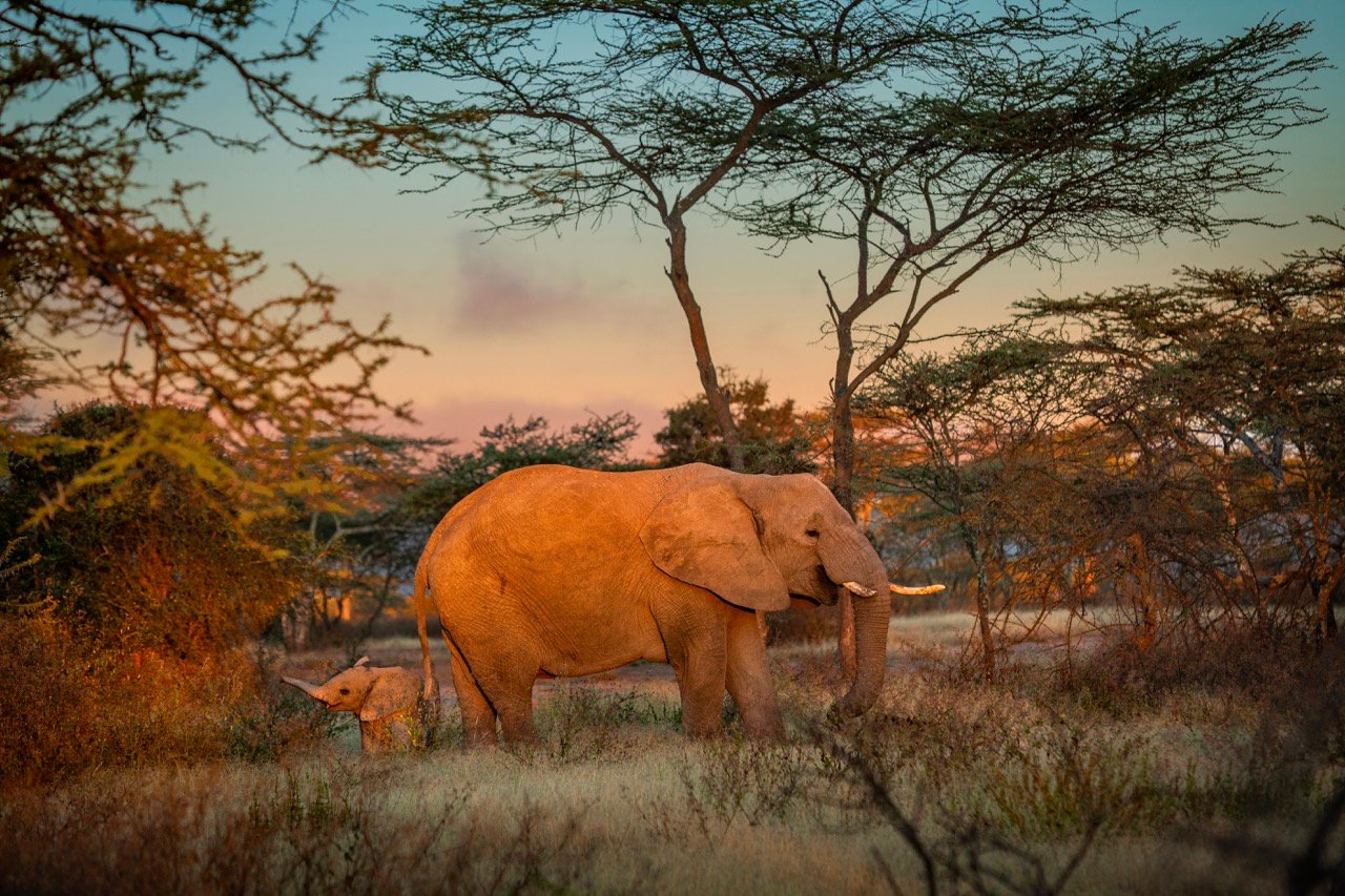 Entorno Tanzania 7