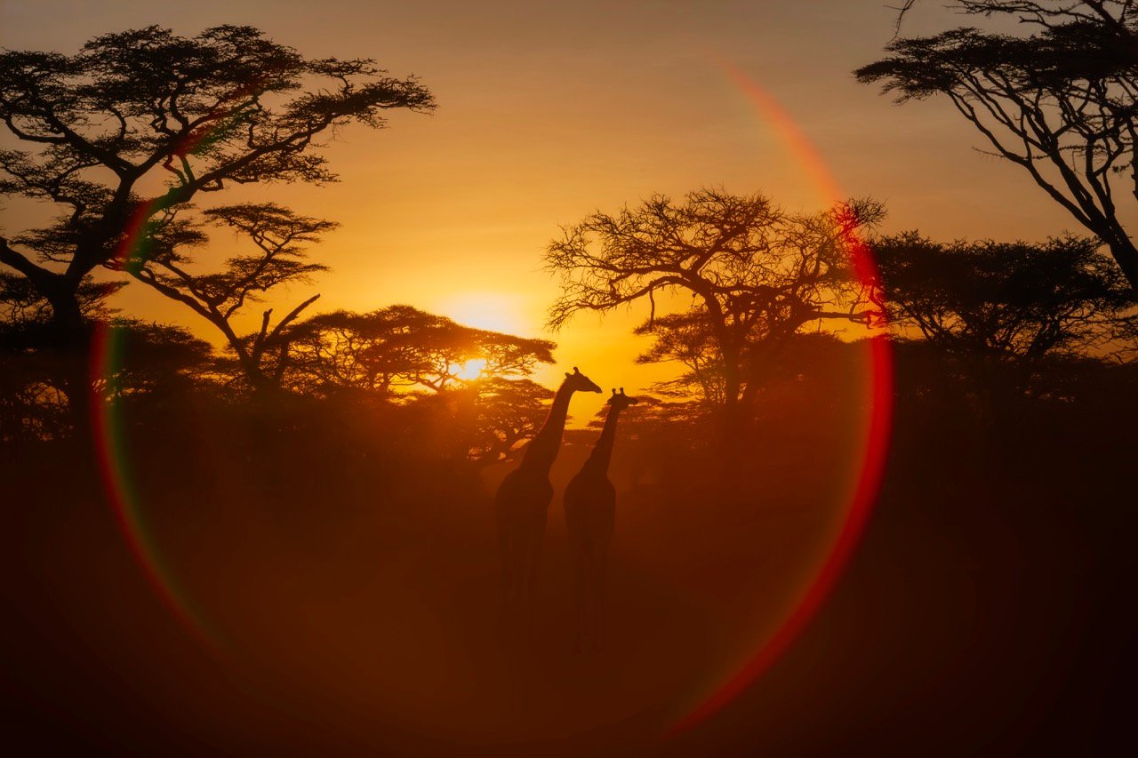 Entorno Tanzania 8