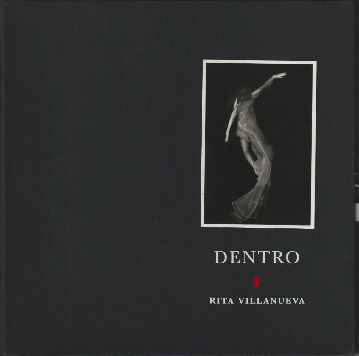 Portada Libro Dentro