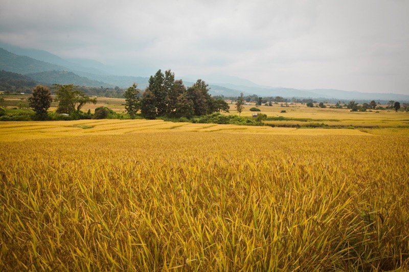 Fotografía Misión Nagaland India por Rita Villanueva, registro 04