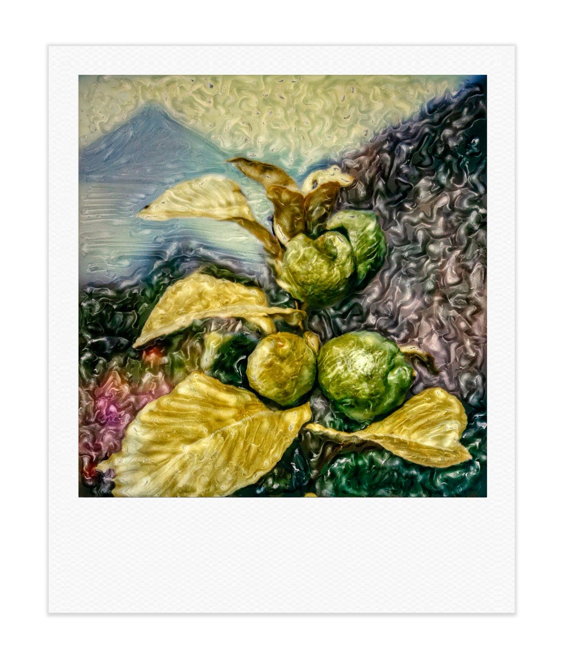 Fotografía instantánea Polaroid SX-70, serie 03 por Rita Villanueva