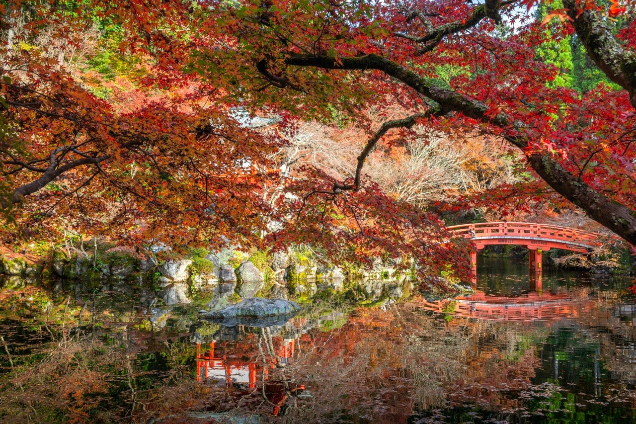 Fotografía documental de Japón por Rita Villanueva, registro 18