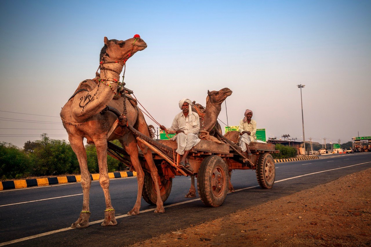 Fotografía documental de Jaipur por Rita Villanueva, registro 17